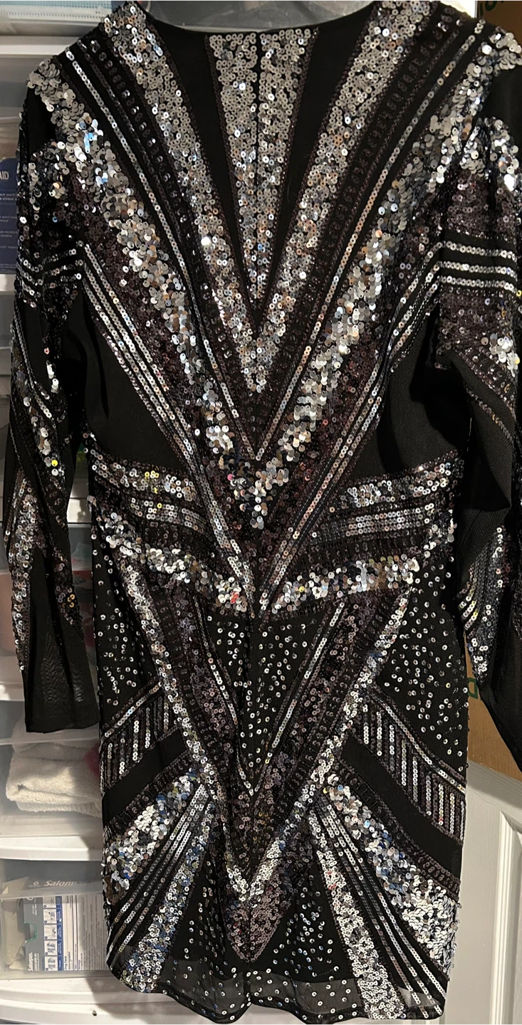 Express Sequin Embellished Long Sleeve Dress