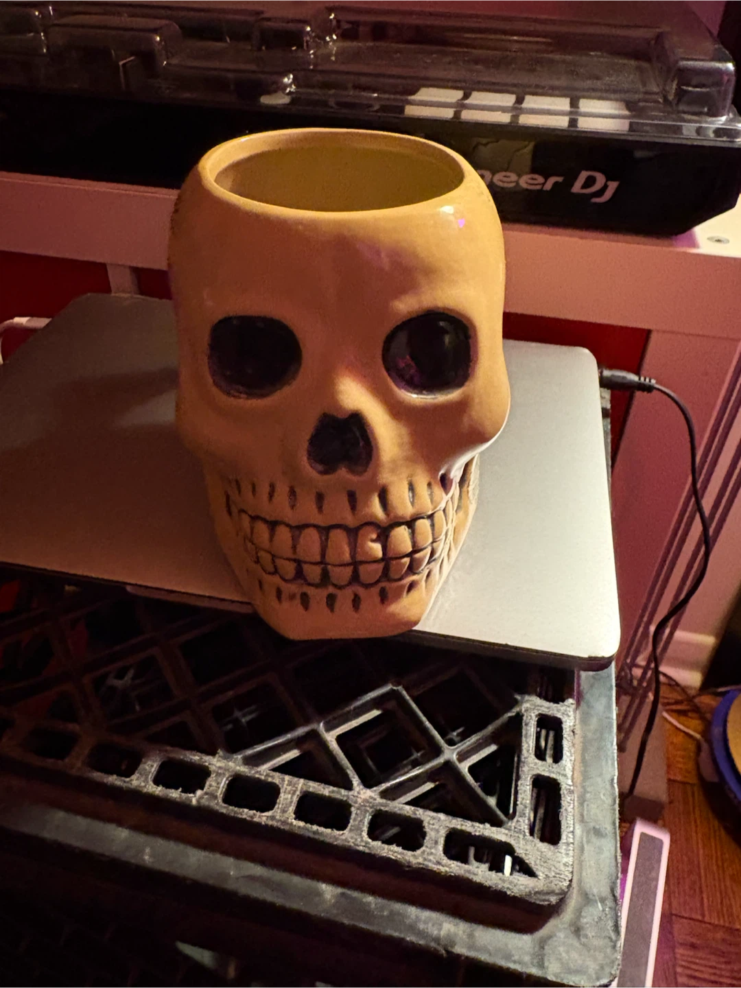 Ceramic Skull Mug