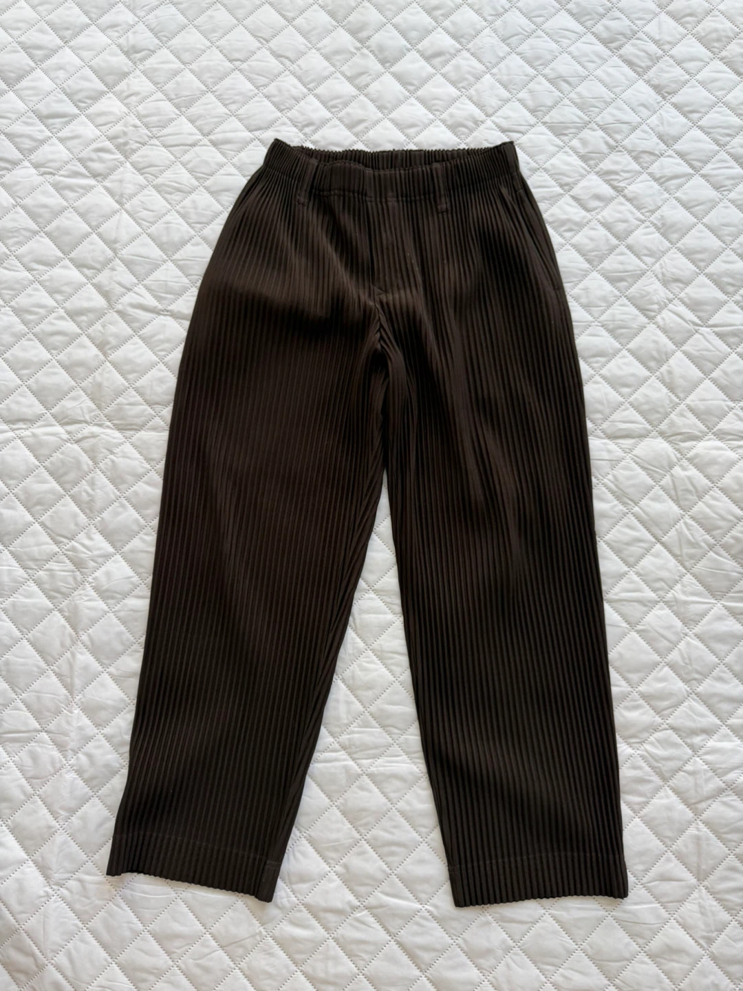 Homme Plissé Issey Miyake Pleated Pants Brown