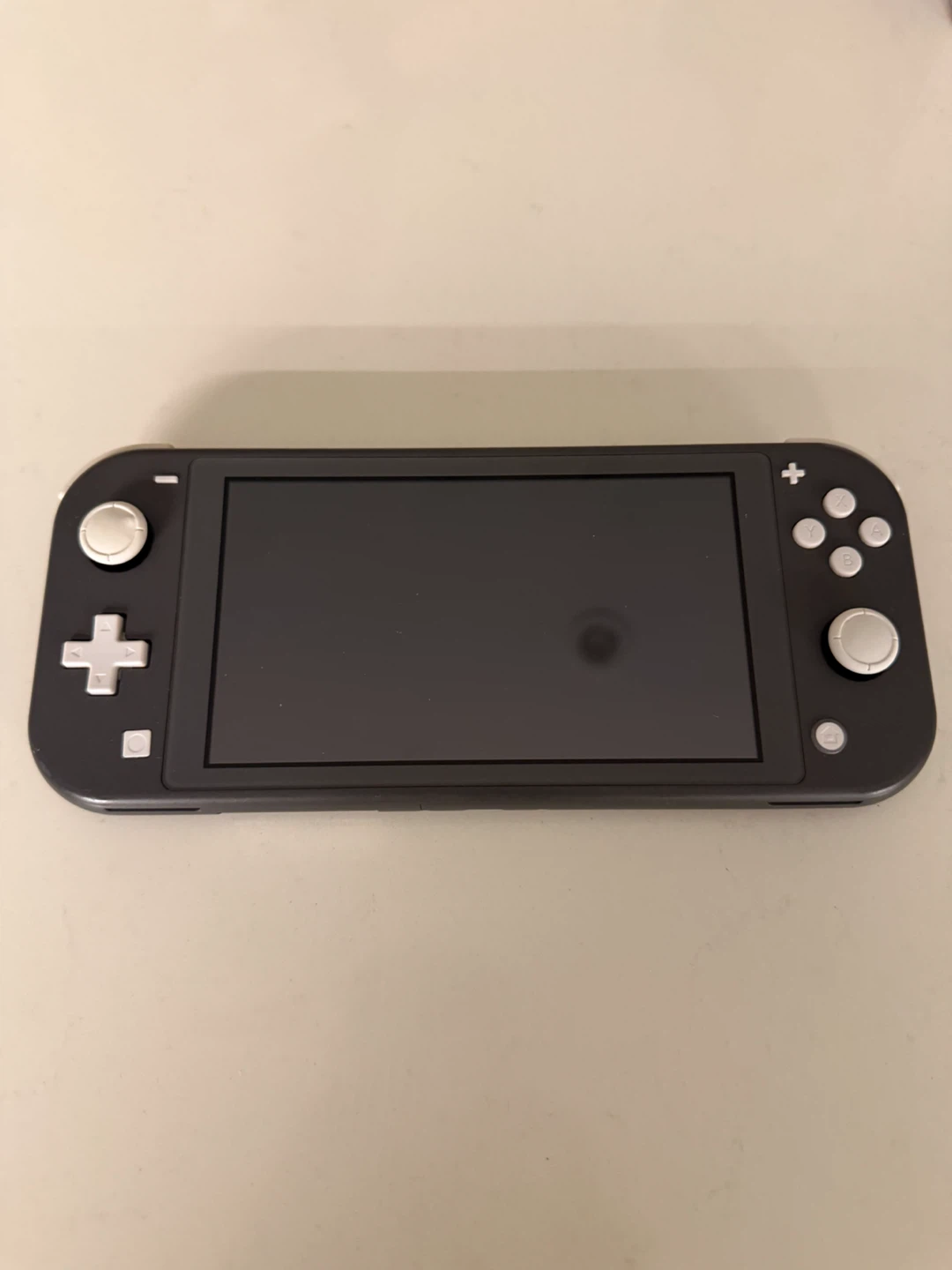 Nintendo Switch Lite Console