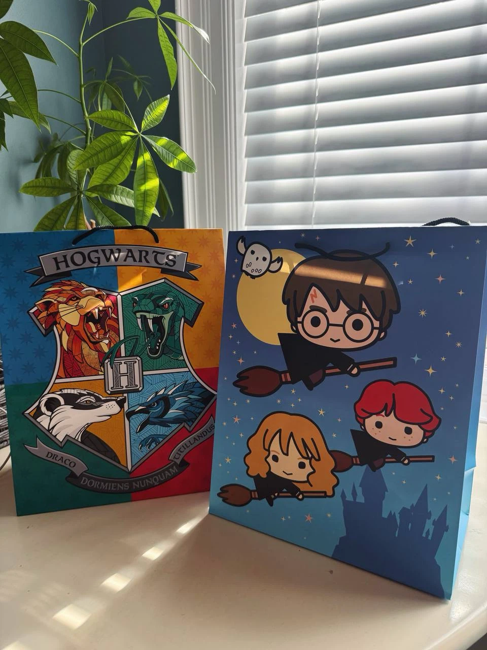 2 Large Harry Potter Gift Bags – new,$12 for 2