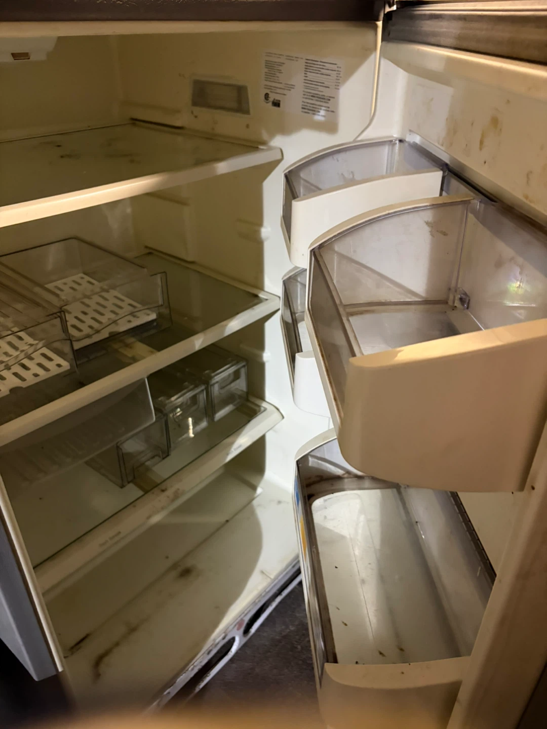 Frigidaire Gallery Stainless Steel Refrigerator - photo 3