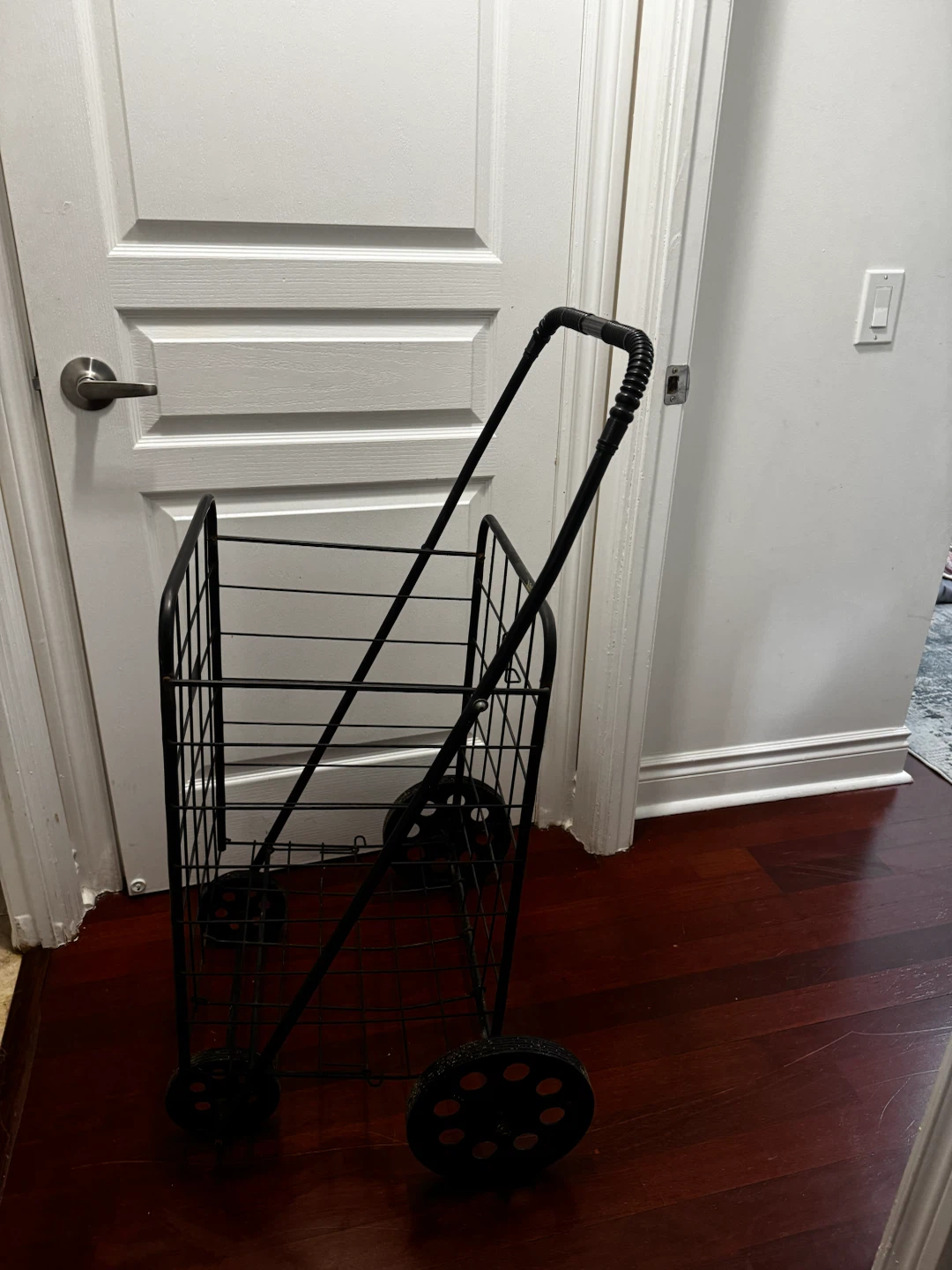 Black Wire Shopping Cart