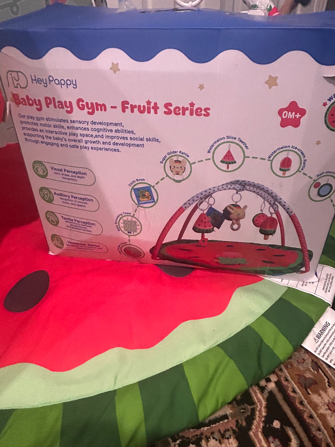 Hey Pappy Baby Play Gym - Fruit Series - photo 3