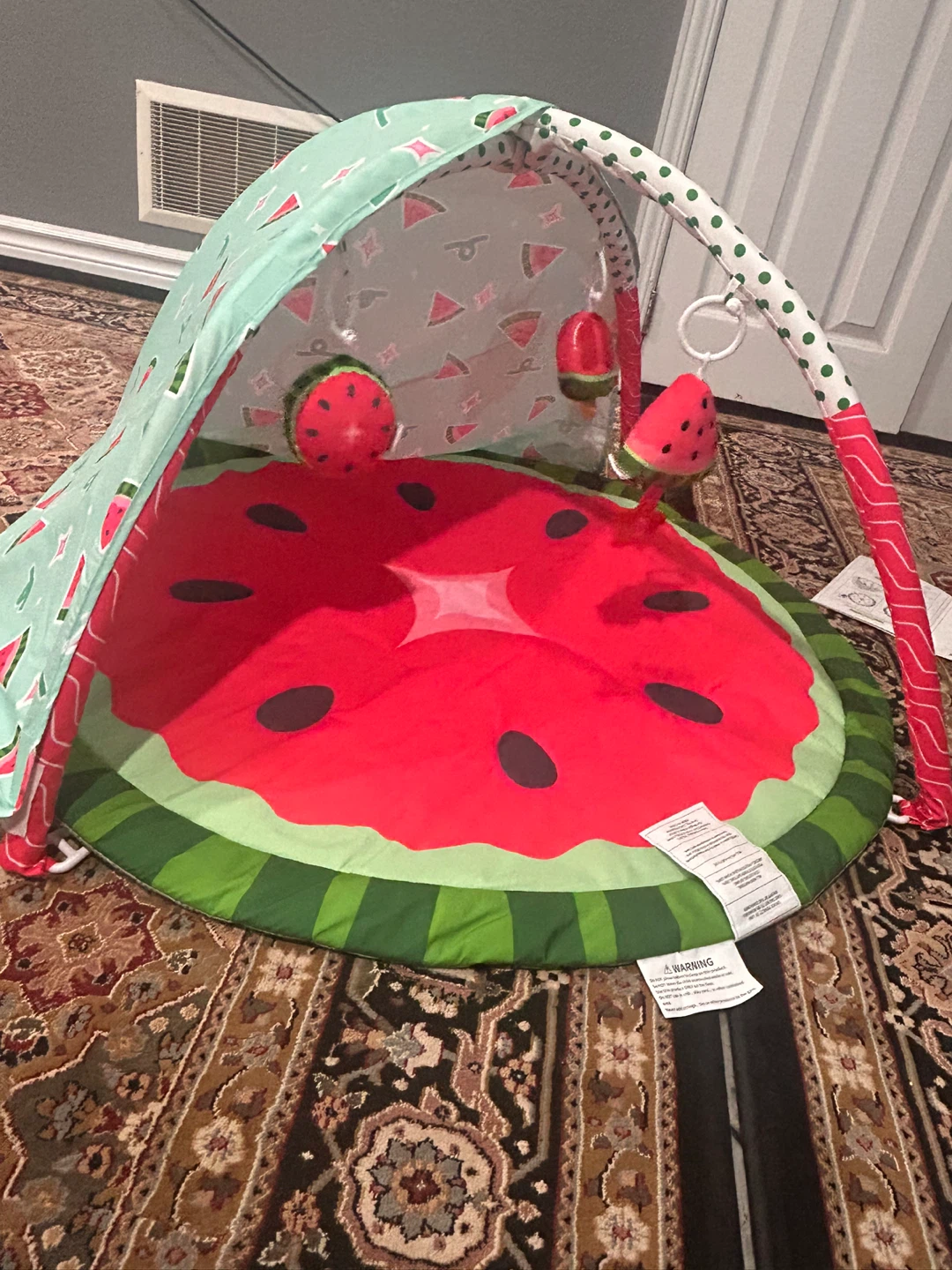 Hey Pappy Baby Play Gym - Fruit Series
