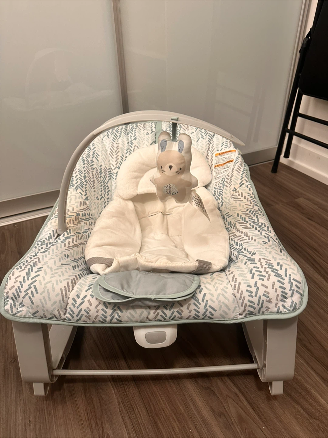 Ingenuity Baby Bouncer