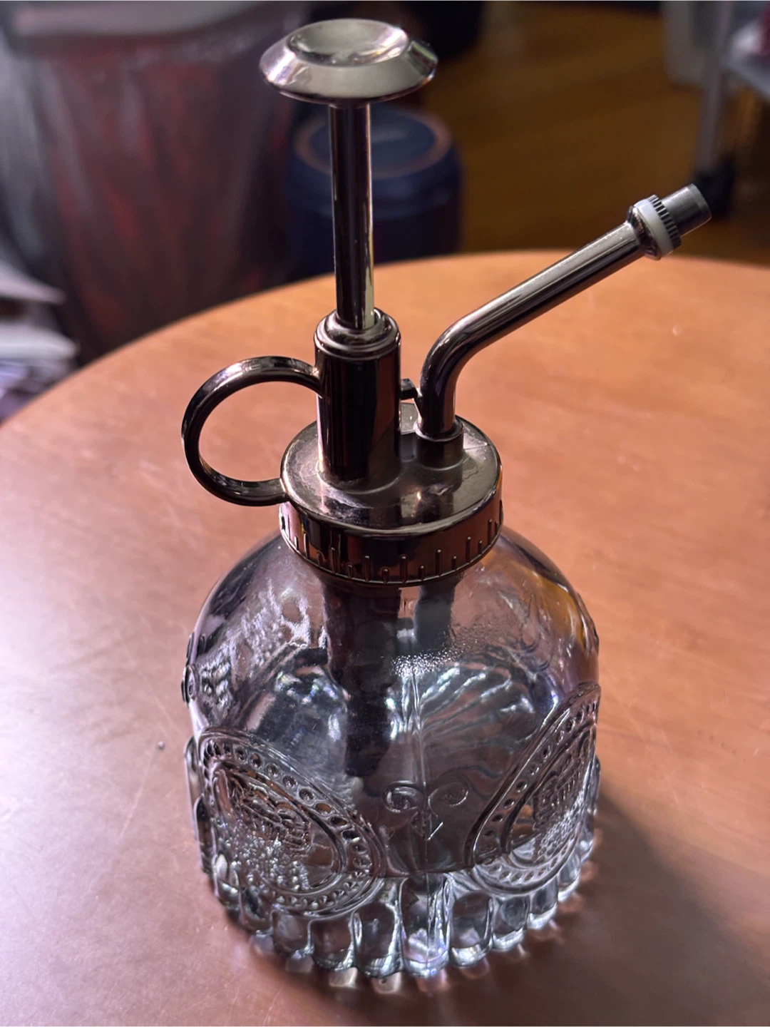 Vintage Style Glass Plant Mister