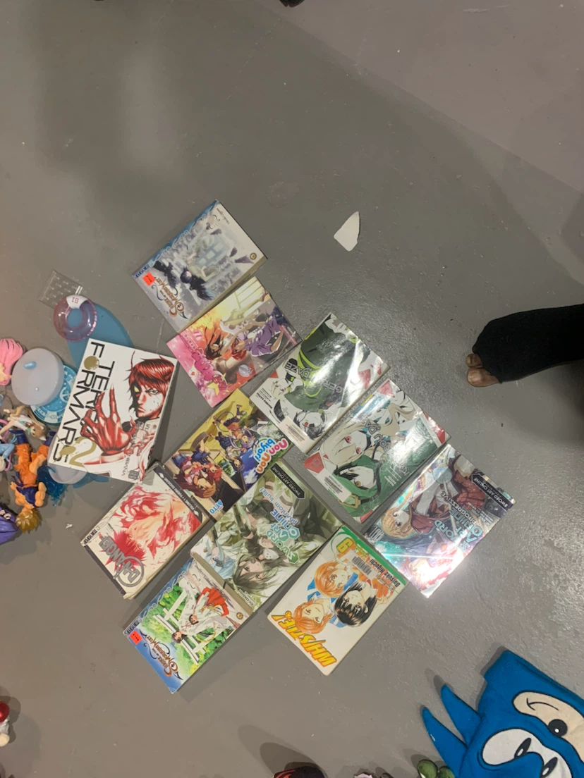 Assorted Manga Collection