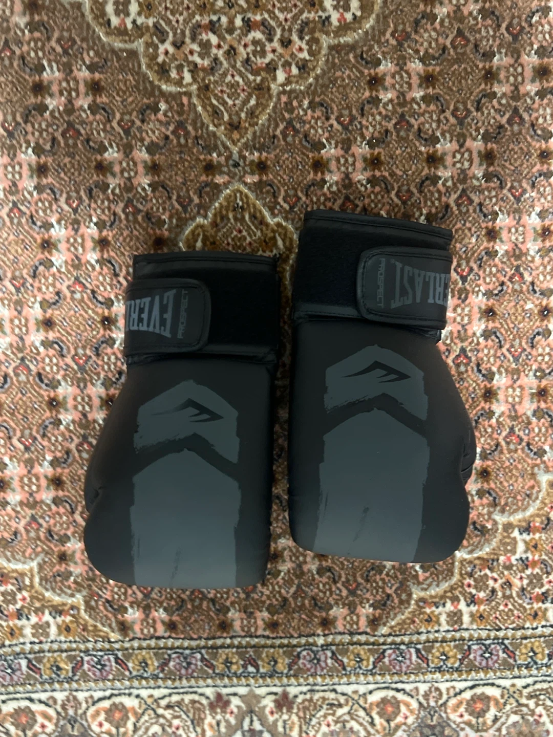 Everlast Prospect and Musashi Boxing Gloves