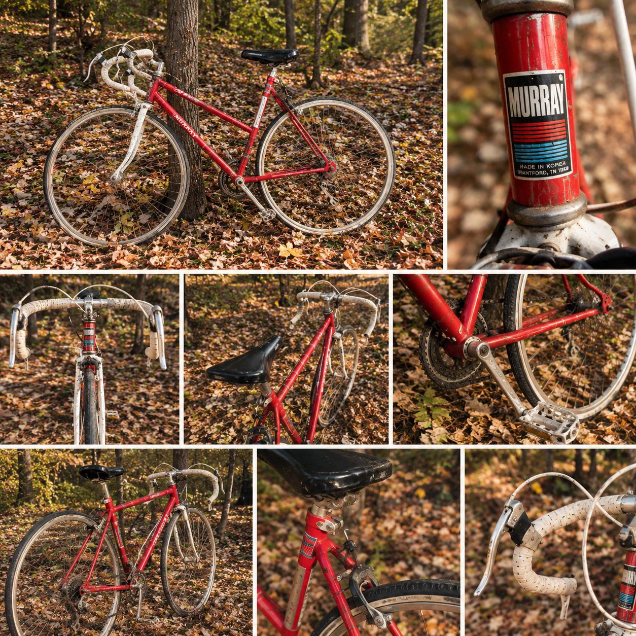 Vintage Murray Road Bike