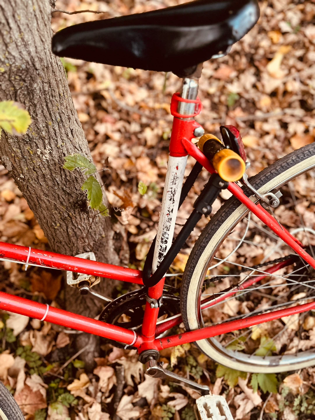 Vintage Murray Road Bike - photo 3