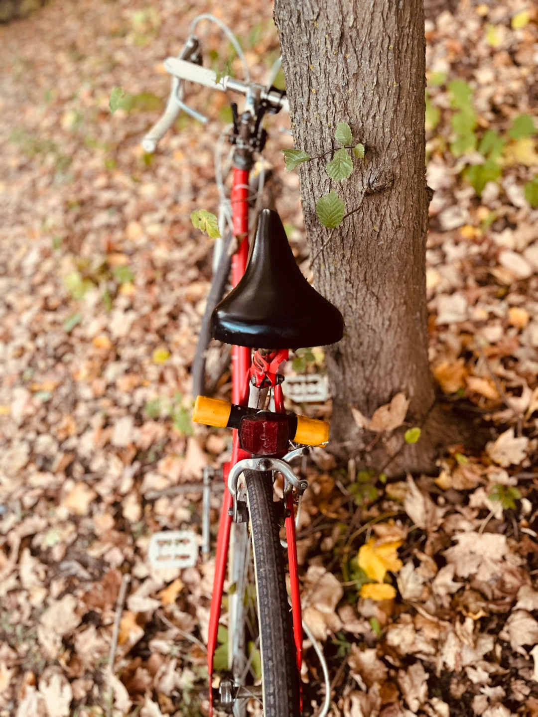 Vintage Murray Road Bike - photo 4