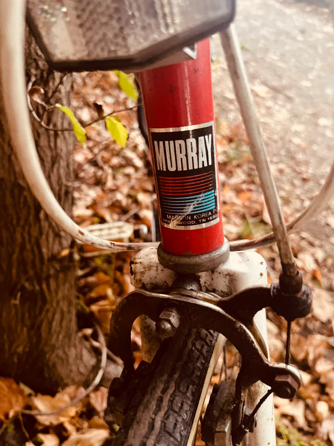 Vintage Murray Road Bike - photo 5