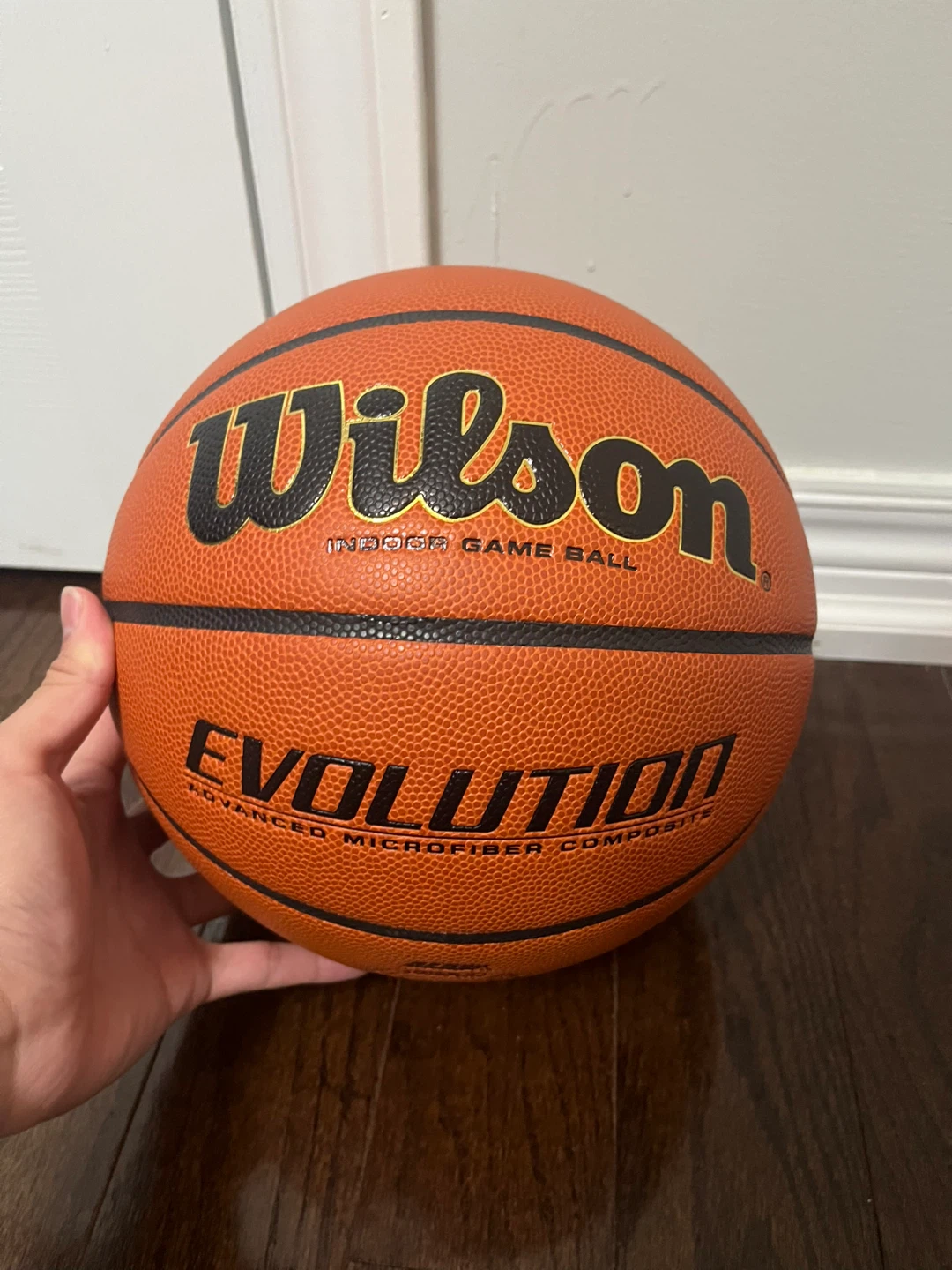 Wilson Evolution Indoor Game Basketball