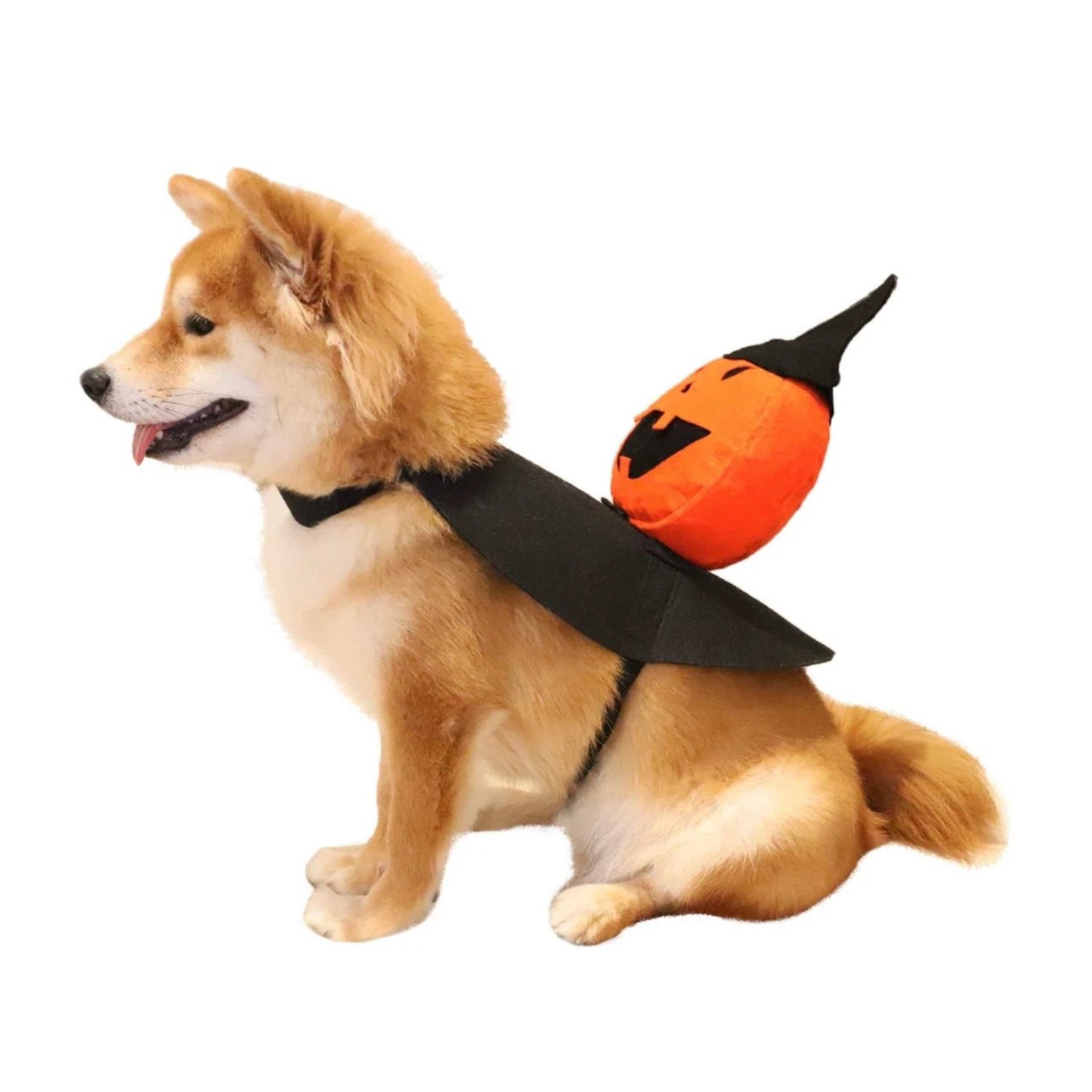 Brand new Size M Dog Halloween Costumes - photo 4