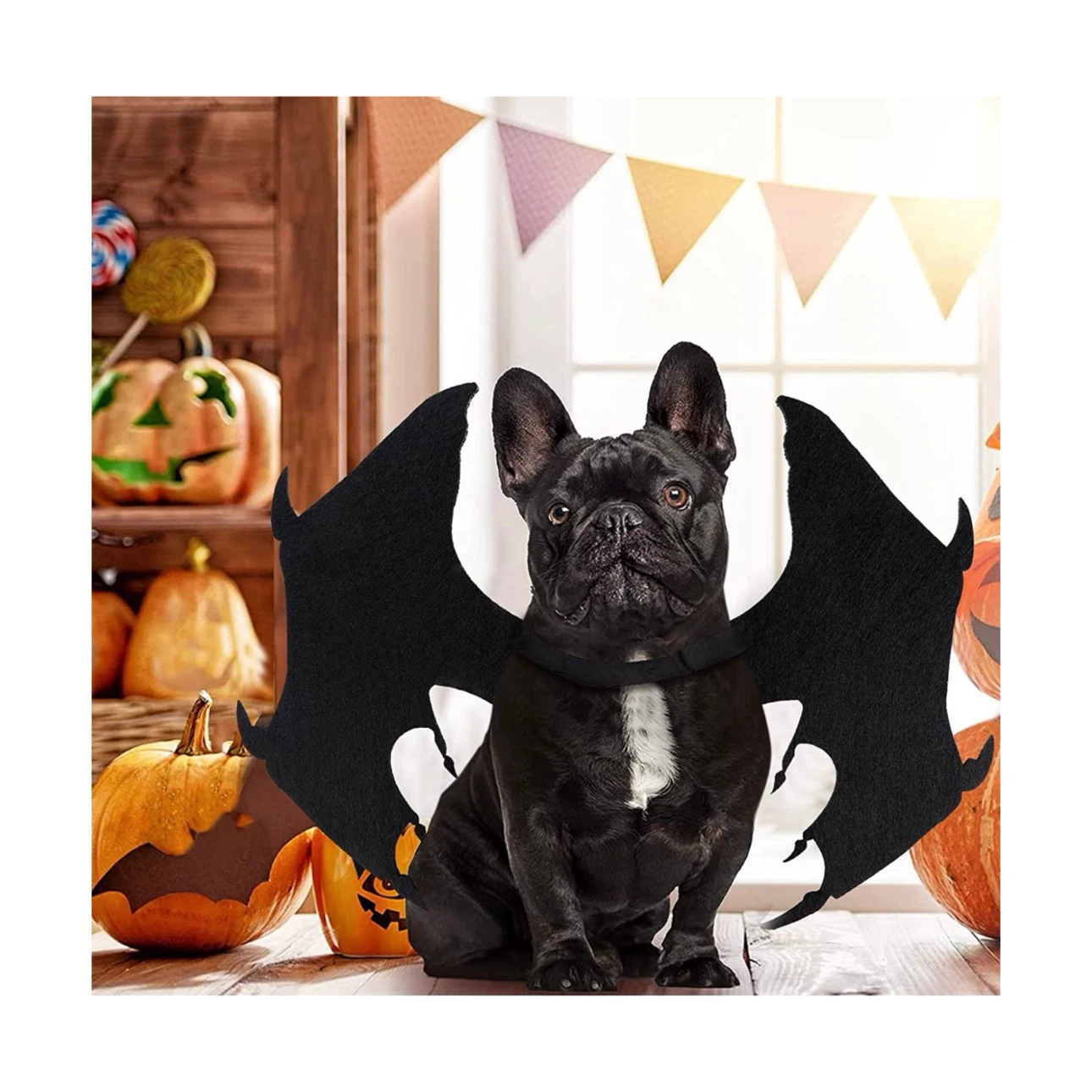 Brand new Dog Costume Halloween Bat Wings - photo 3