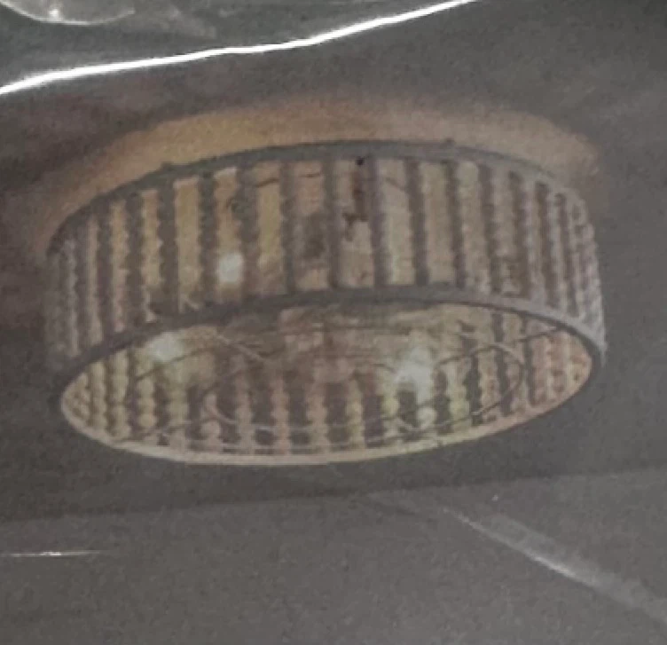 Capslpad 19'' Boho Caged Ceiling Fans - photo 2