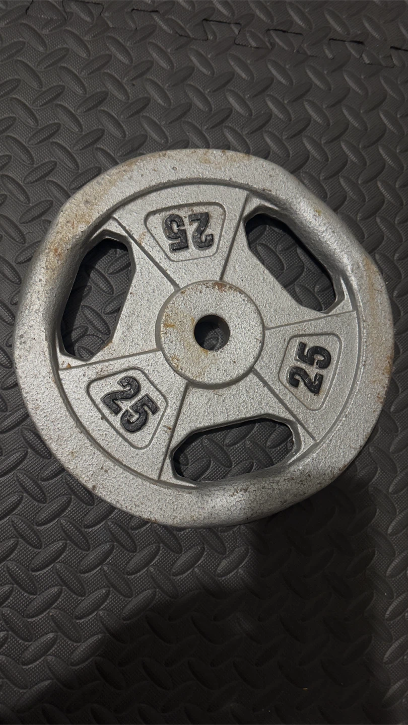 Sports Authority Barbell and Weight Plate Set