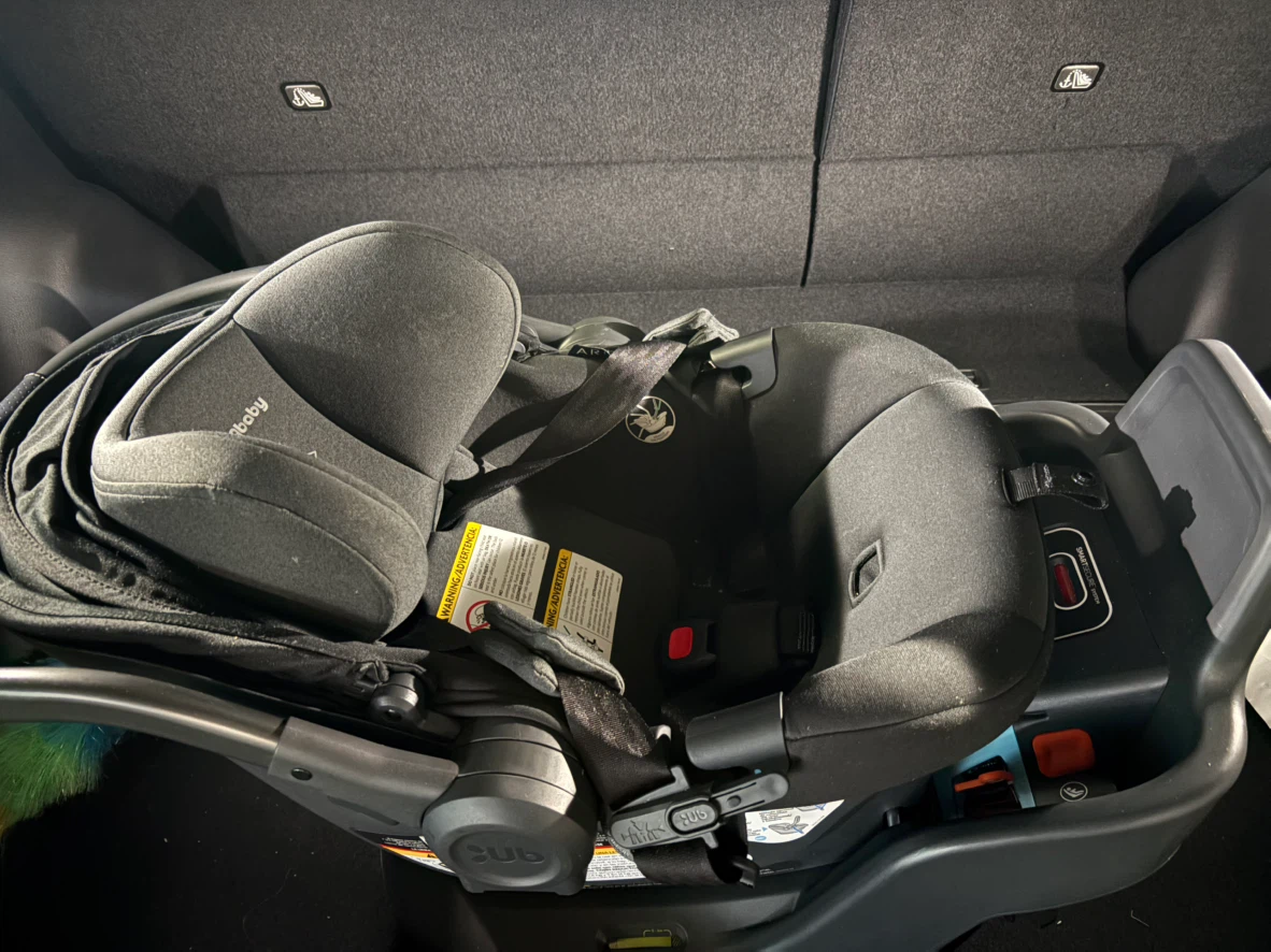 UPPAbaby Aria Infant Car Seat - photo 2