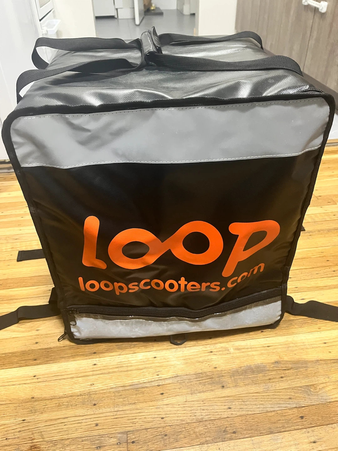Loop Insulated Delivery Backpack