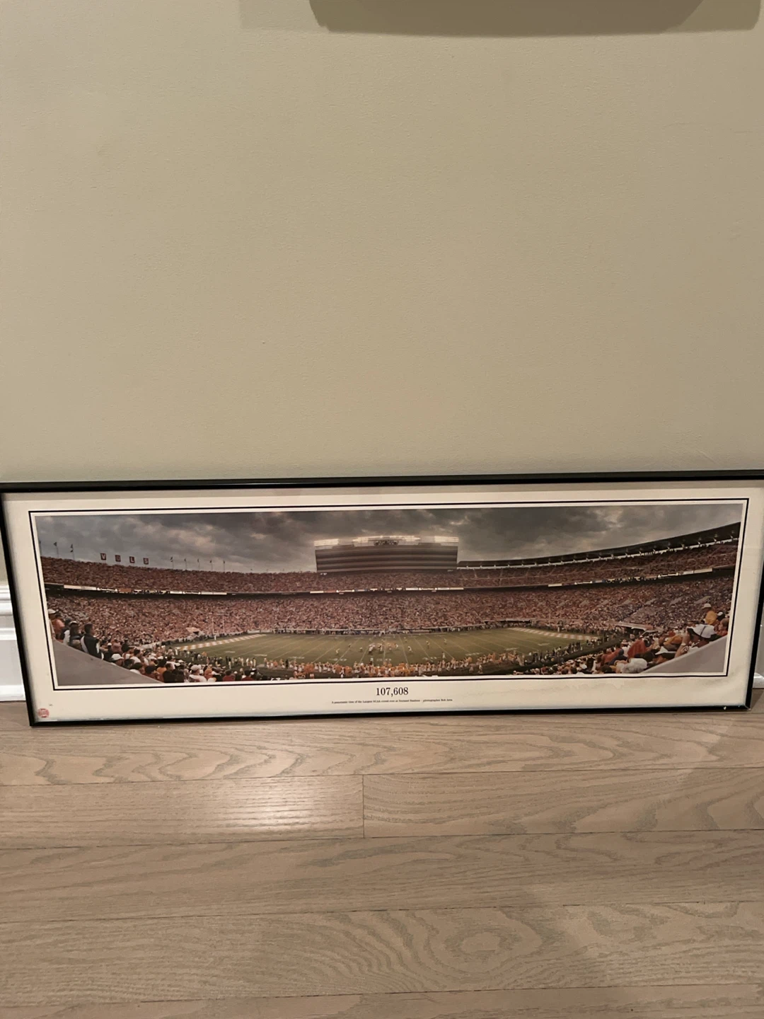 Michigan Stadium Panoramic Framed Art 107,608