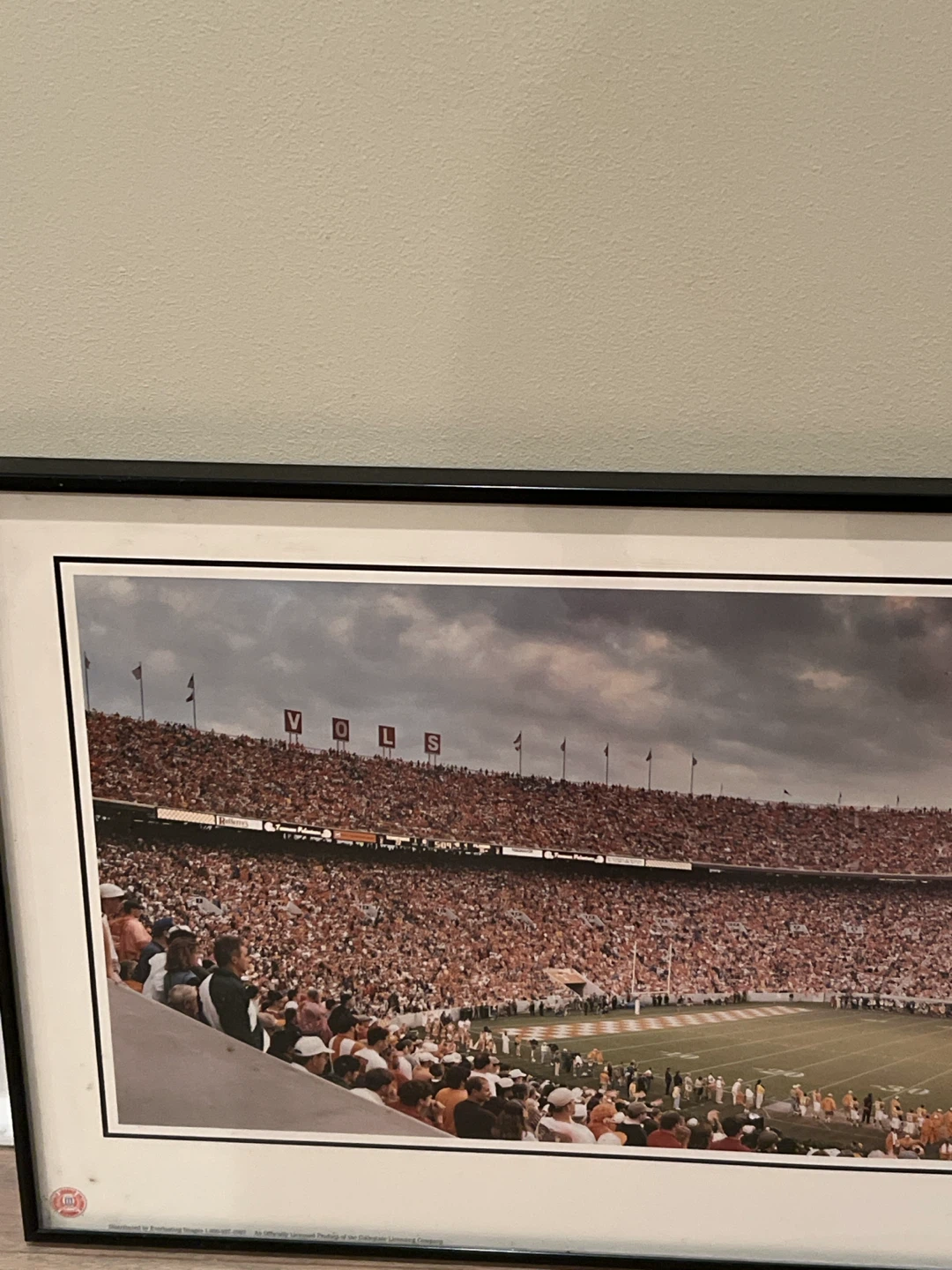 Michigan Stadium Panoramic Framed Art 107,608 - photo 2