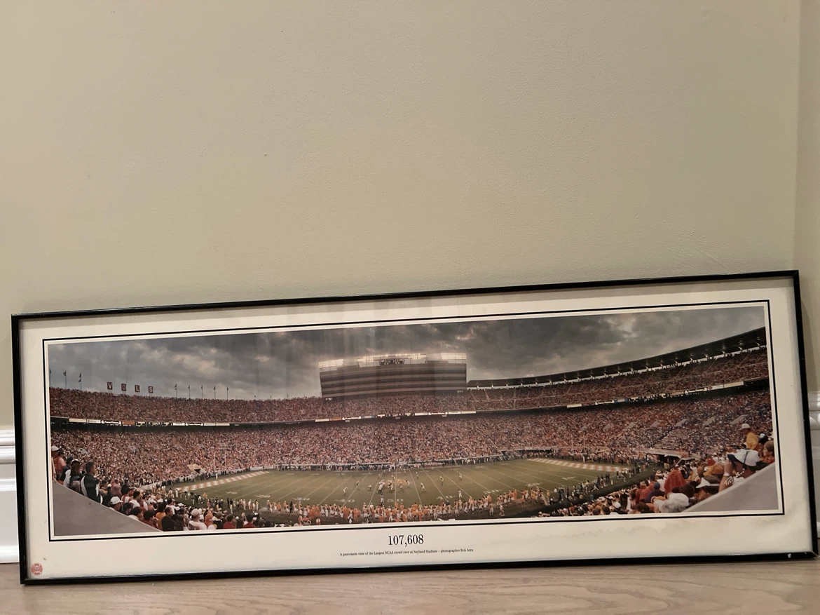 Michigan Stadium Panoramic Framed Art 107,608 - photo 5