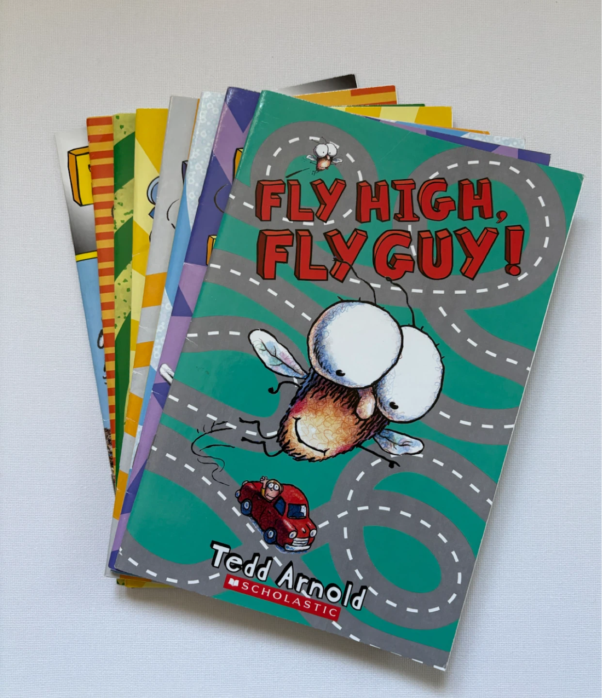 Set of 10 Fly Guy Books by Tedd Arnold