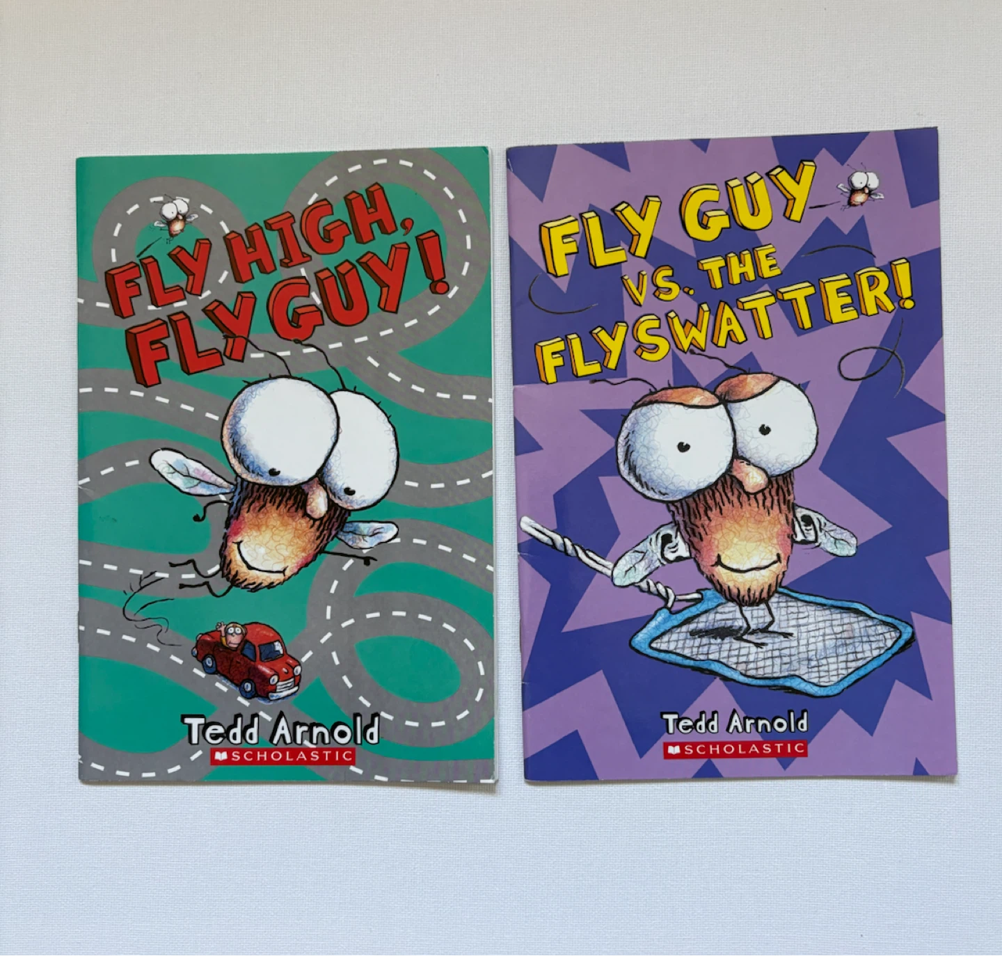 Set of 10 Fly Guy Books by Tedd Arnold - photo 2
