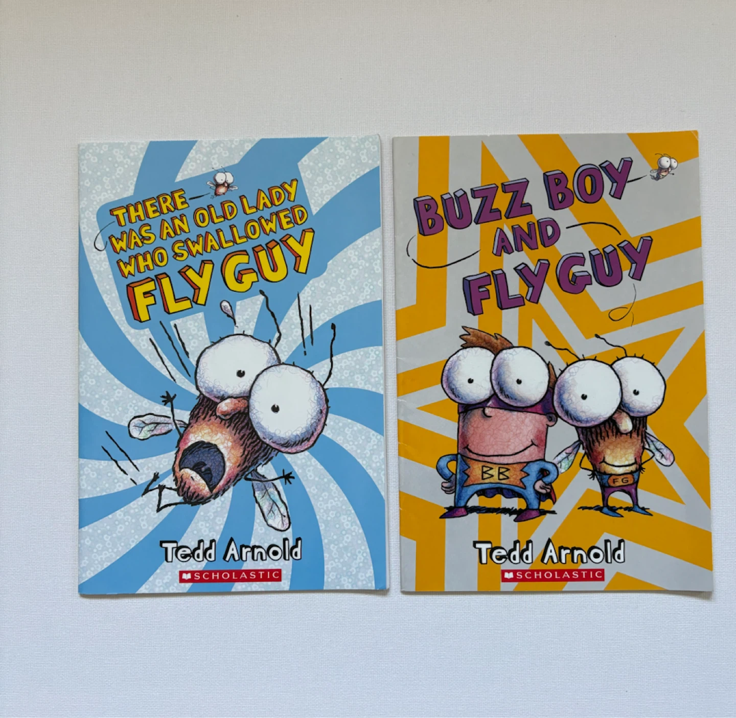 Set of 10 Fly Guy Books by Tedd Arnold - photo 3