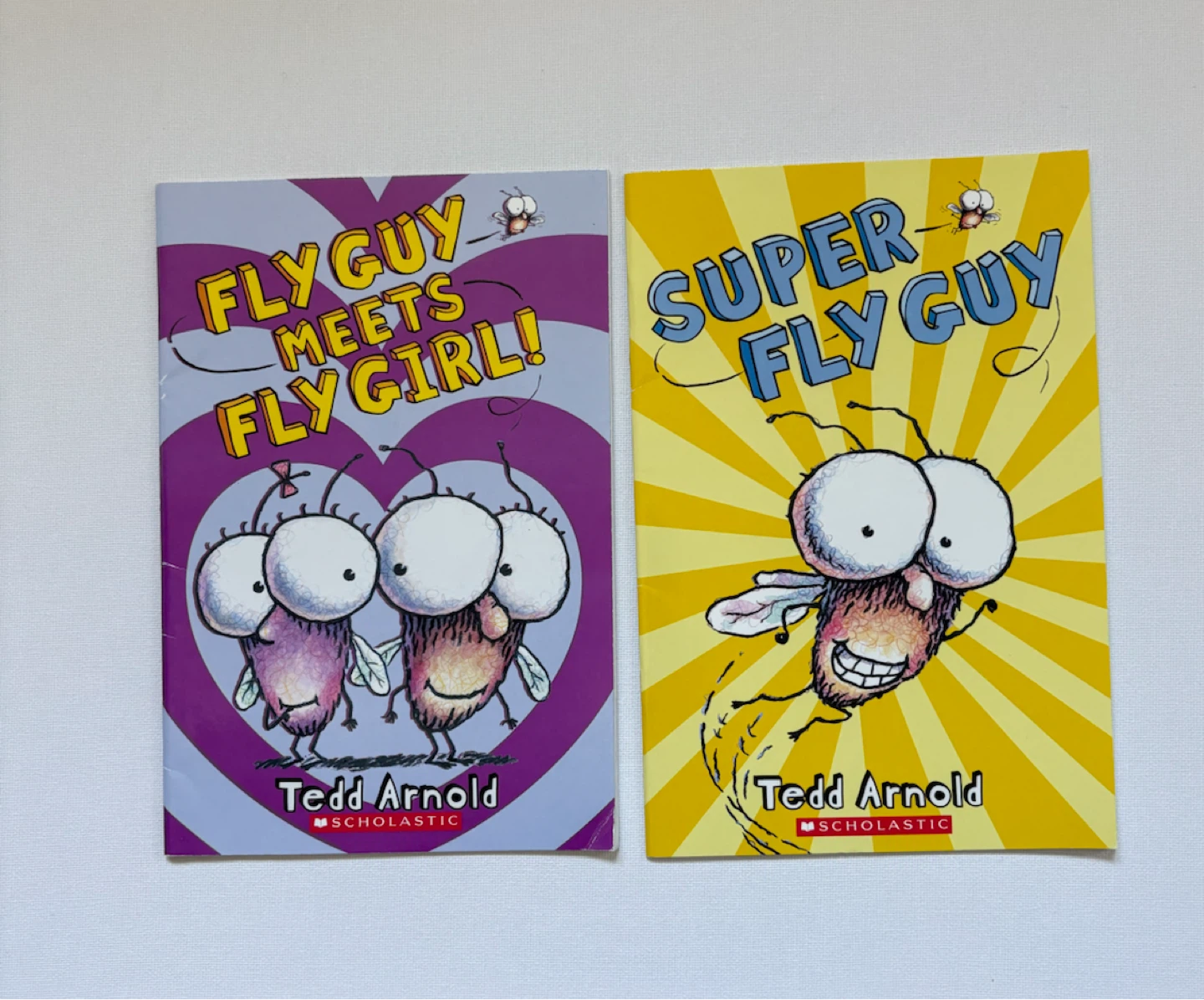 Set of 10 Fly Guy Books by Tedd Arnold - photo 4