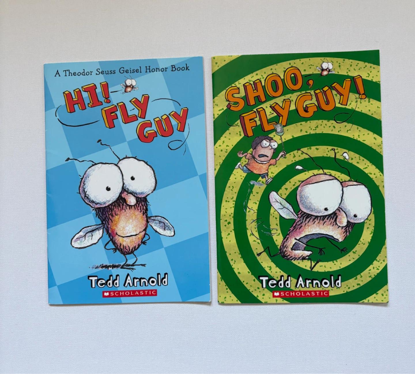 Set of 10 Fly Guy Books by Tedd Arnold - photo 5
