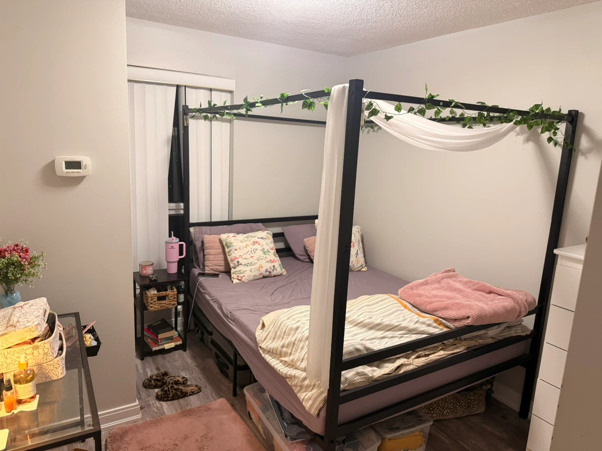 Black Metal Canopy Bed Frame and mattress