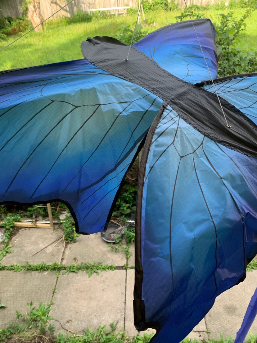Blue Butterfly Kite