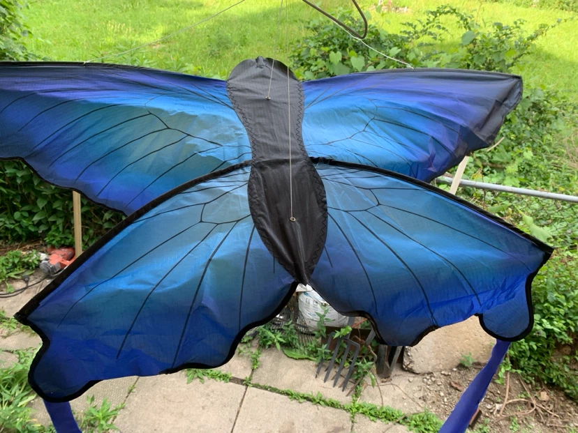 Blue Butterfly Kite - photo 2