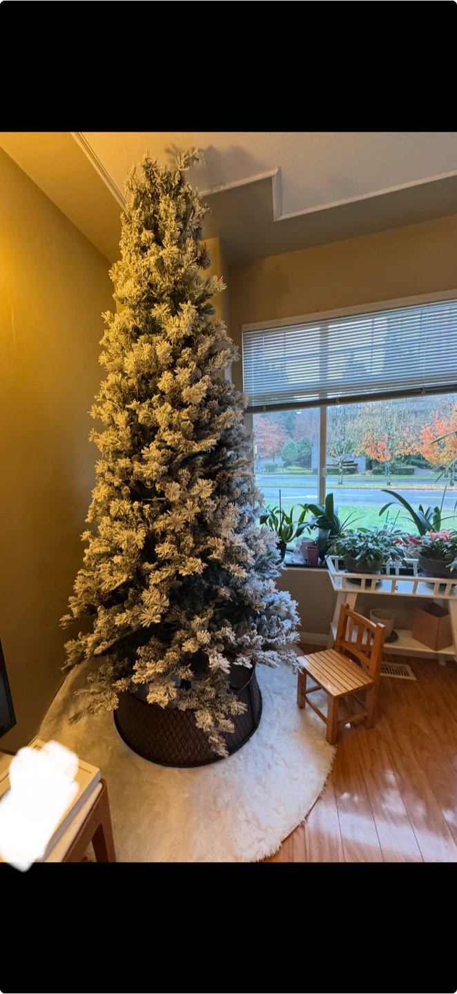 Christmas Tree - photo 2