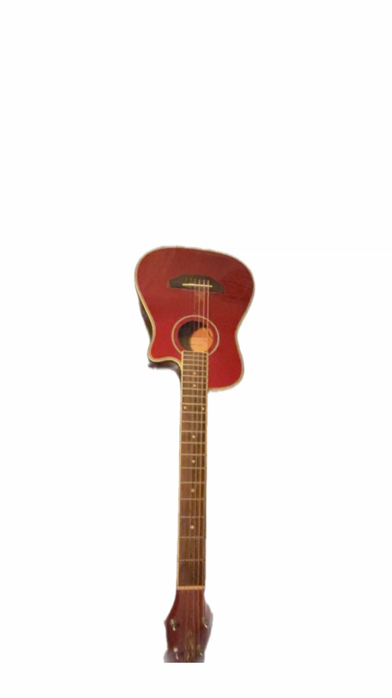 Beaver Creek Acoustic Guitar with Bag