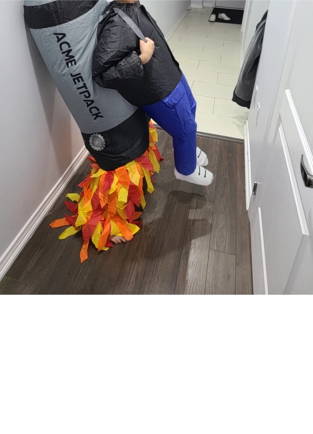 Assorted Halloween Costumes