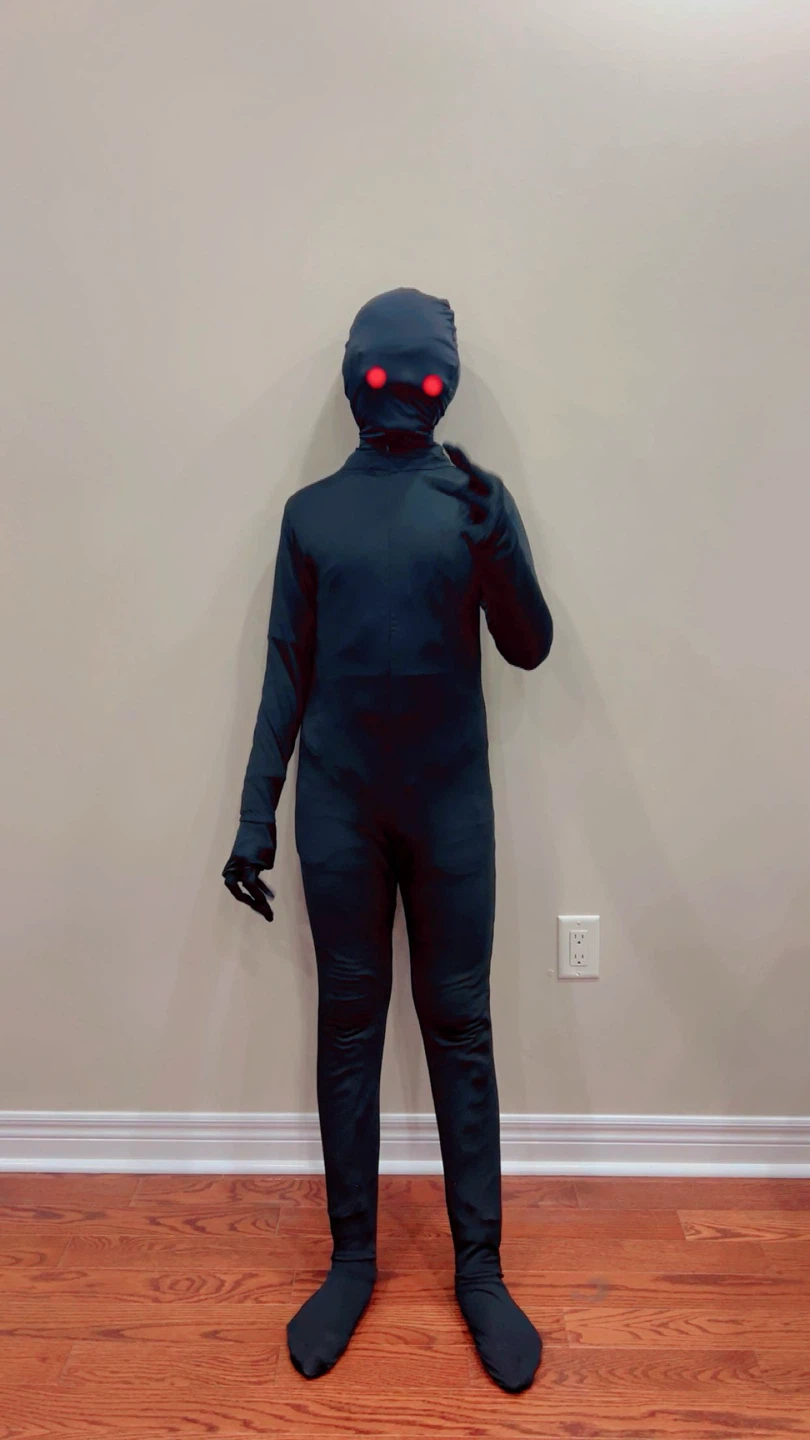 Assorted Halloween Costumes - photo 3