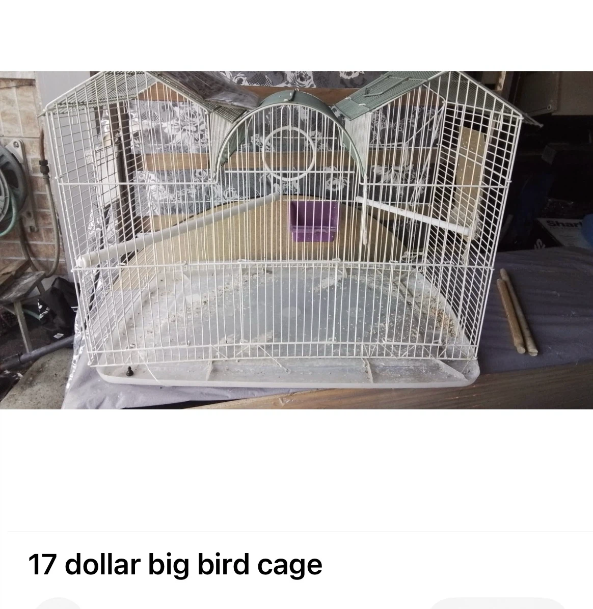 Birds cage