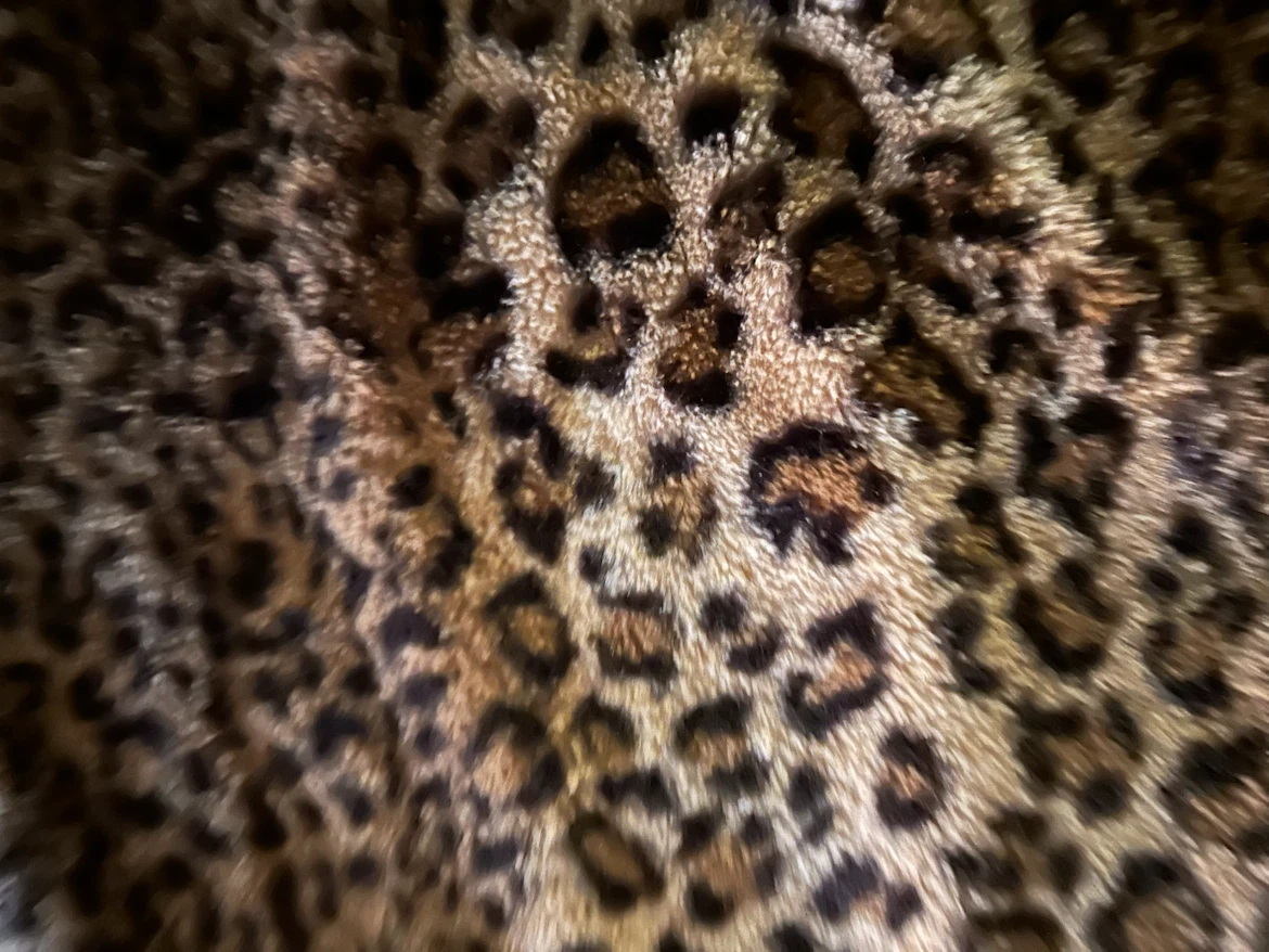Magaschoni Home Leopard Print Throw