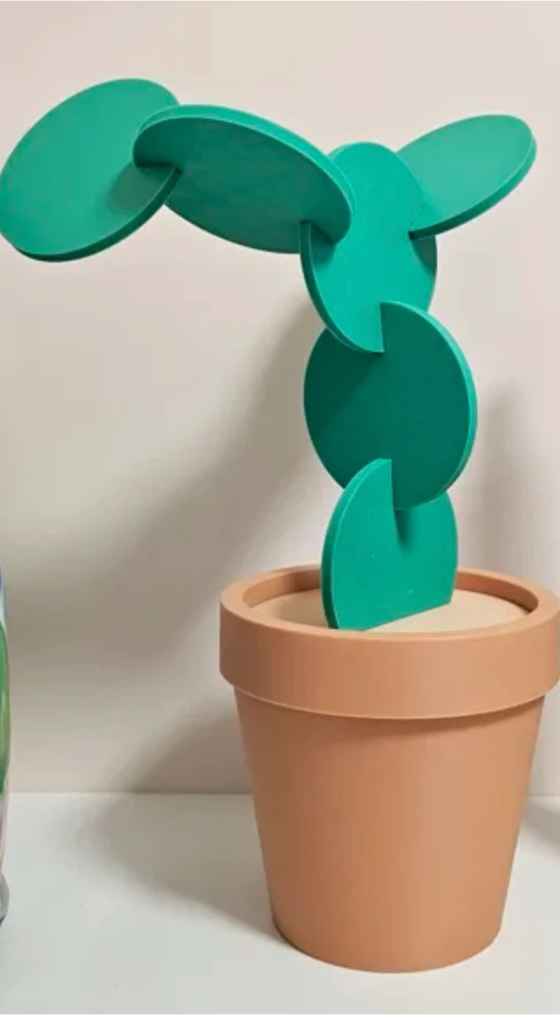 Cactus Coaster