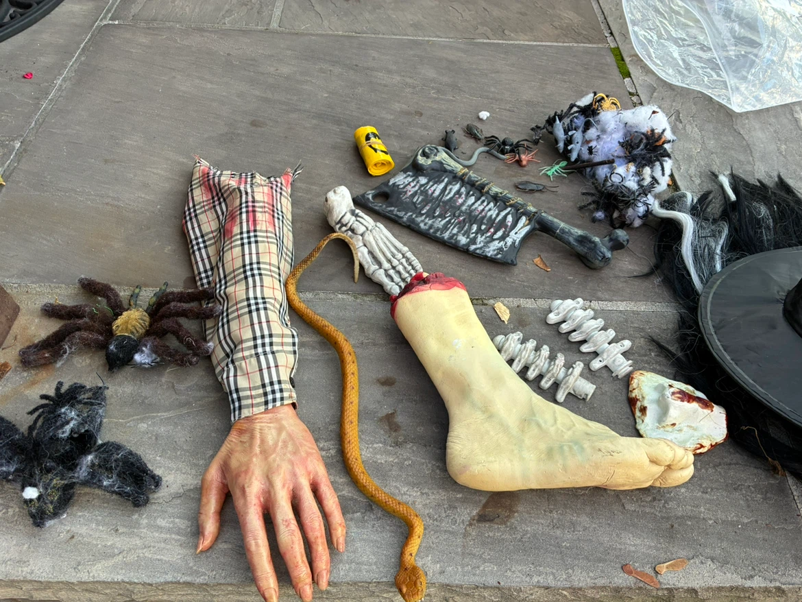 BIG lot Halloween decor decoration prop party outdoor East York