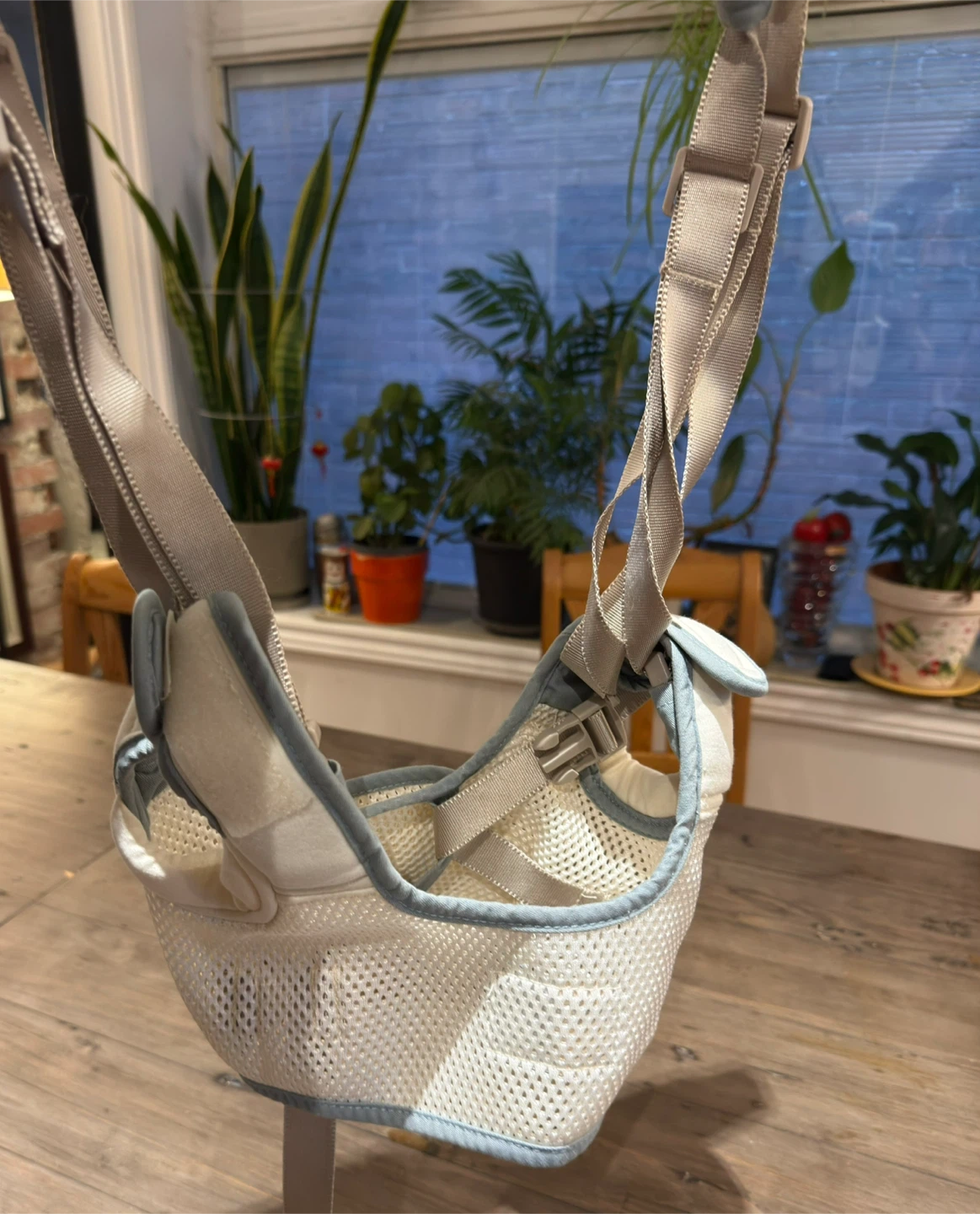 Baby walking assistant harness