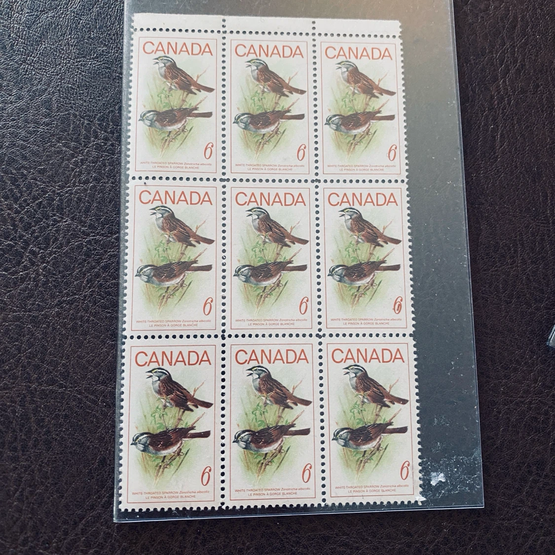 Collection of Vintage Canadian Postage Stamp Blocks - photo 5