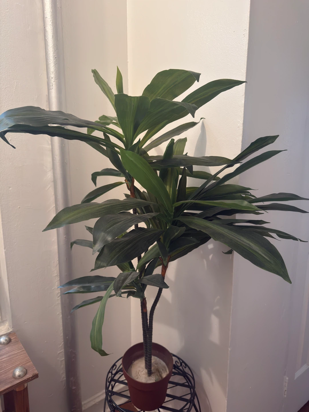 Artificial Dracaena Plant