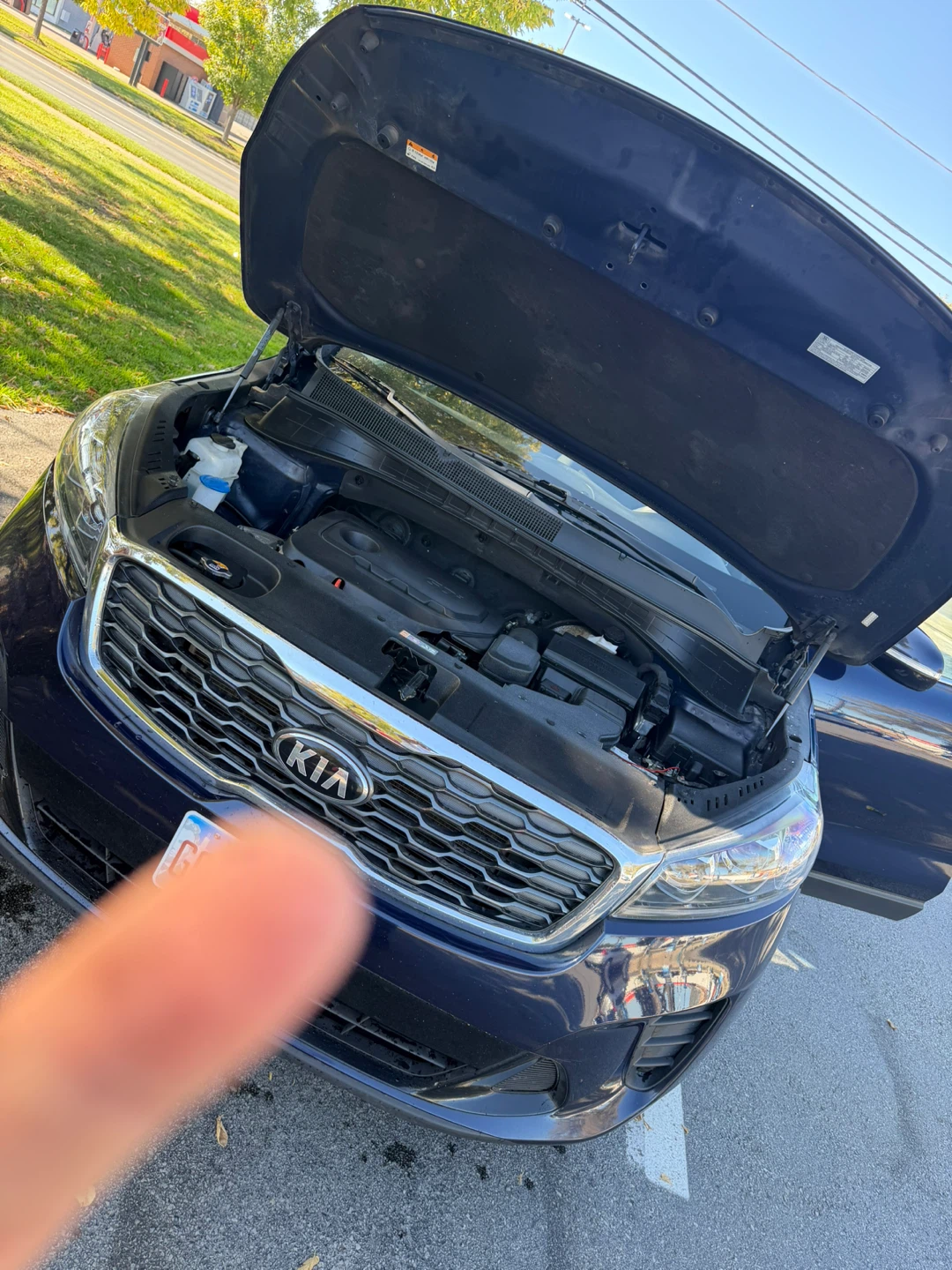 Kia Sorento SUV - photo 5