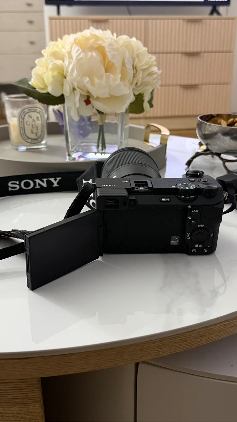 Sony Alpha a6700 + Sigma 16mm f/1.4 Lens - photo 2