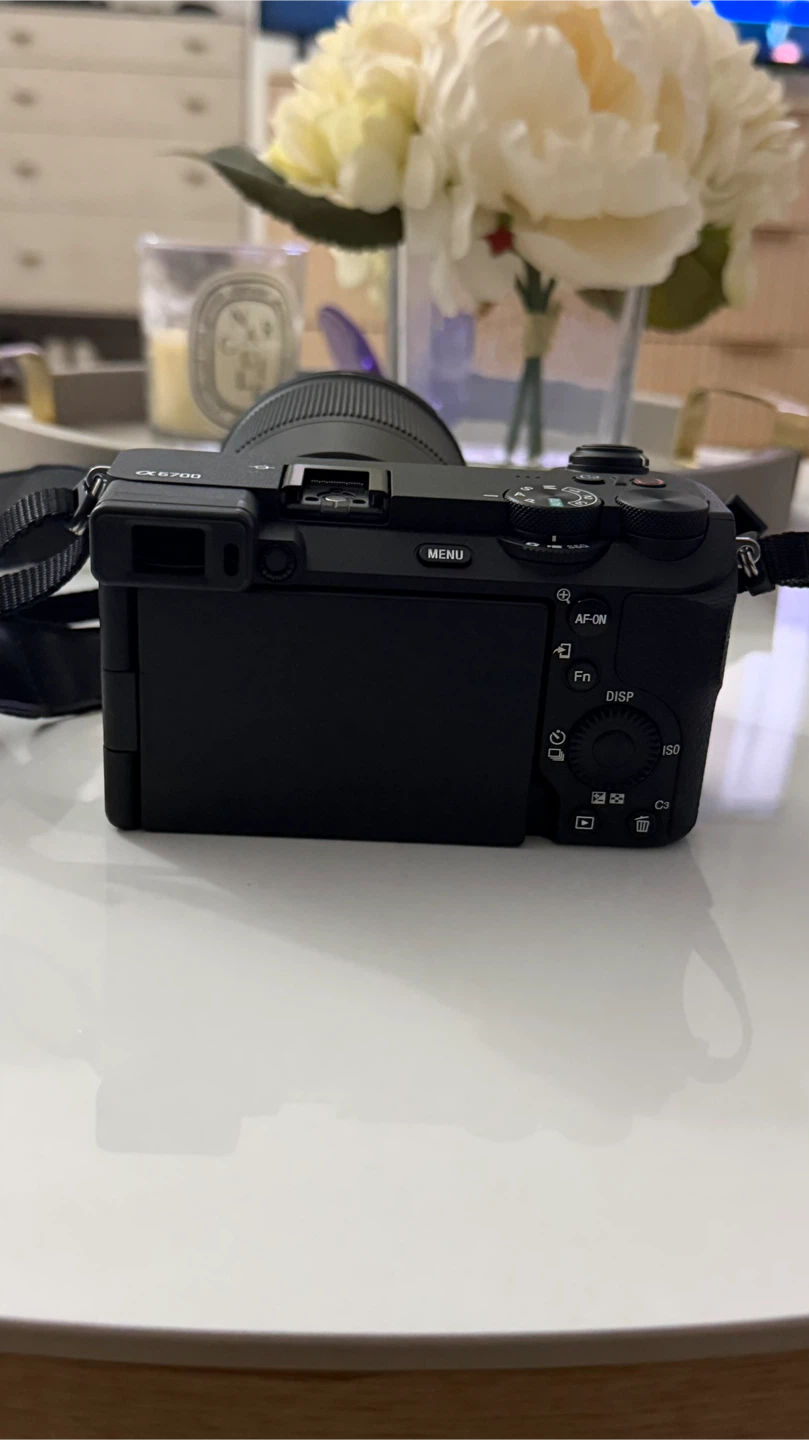 Sony Alpha a6700 + Sigma 16mm f/1.4 Lens - photo 3
