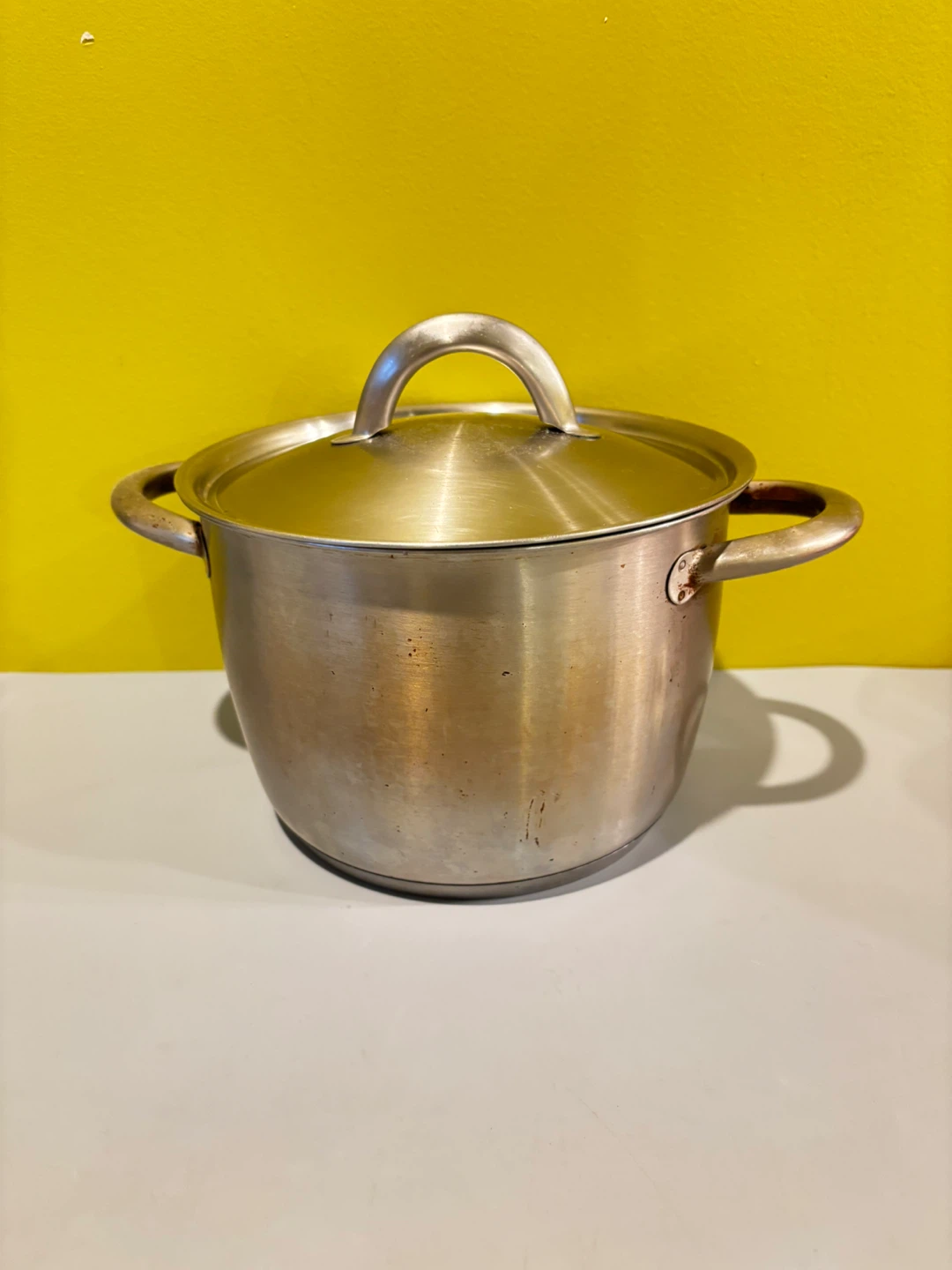Stainless Steel Cooking Pot with Lid